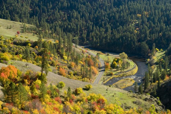 Orthodontics in Grangeville, ID